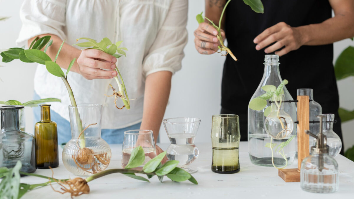 couple propageant leurs plantes interieur comme passe temps ensemble