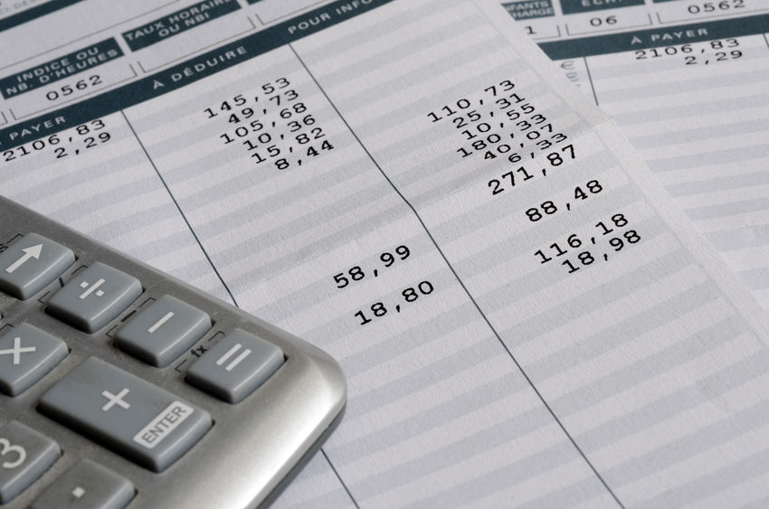 euro pay slip and calculator